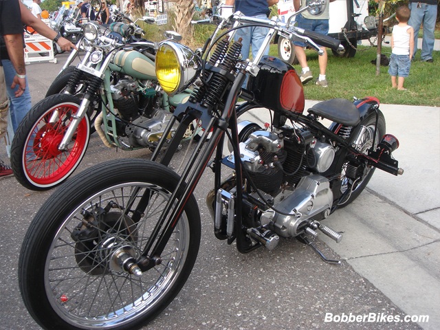 Black and Red Springer